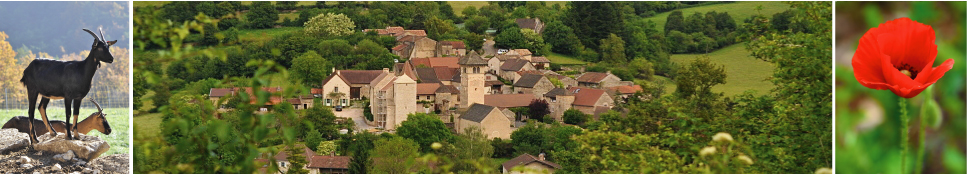 Banniere Commune de BLANOT 71