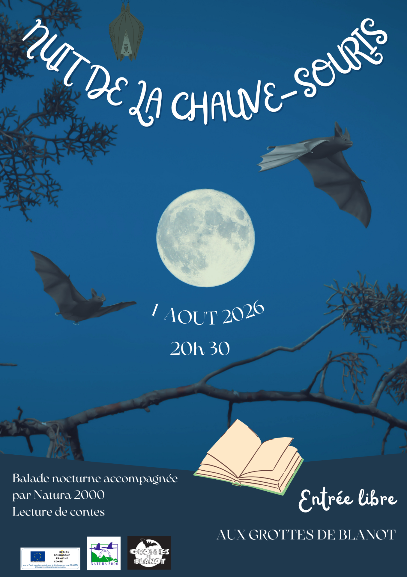 Affiche Nuit de la Chauve Souris